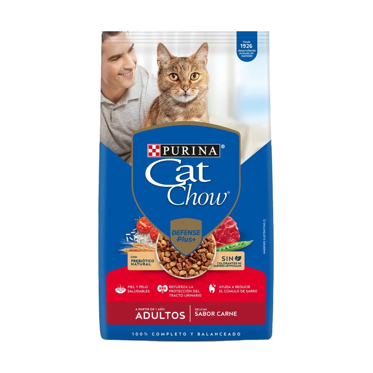 Alimento seco para gatos adultos Delicias sabor carne, 1 kg