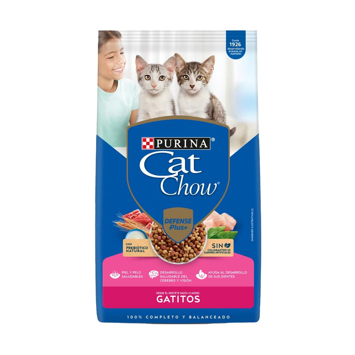 Alimento seco para gatitos hasta 12 meses, 1 kg